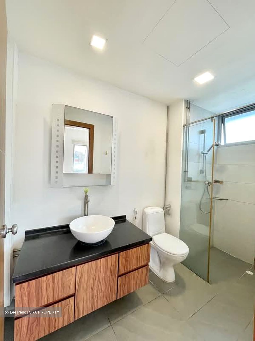 Princess Of Wales Park (D10), Semi-Detached #551847911